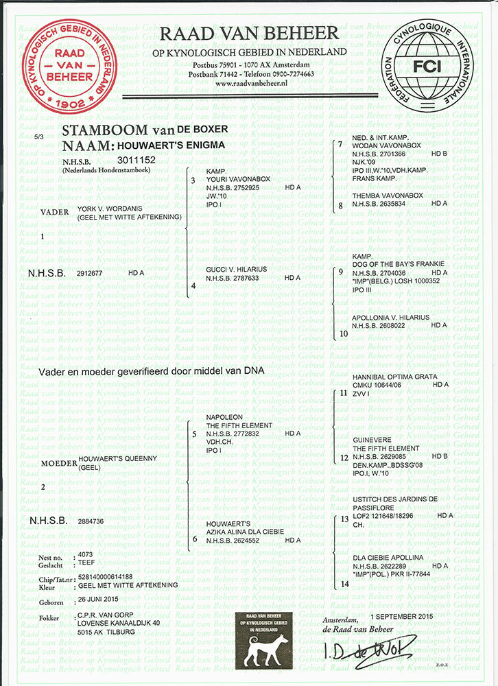 Stamboom Houwaerts Enigma