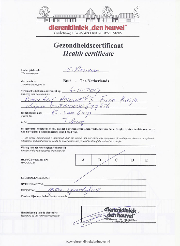 Houwaerts Furia Rusja Spondylosis