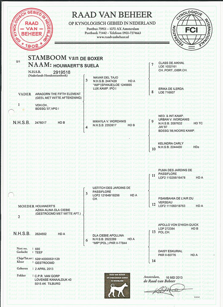 Houwaerts Suela Stamboom